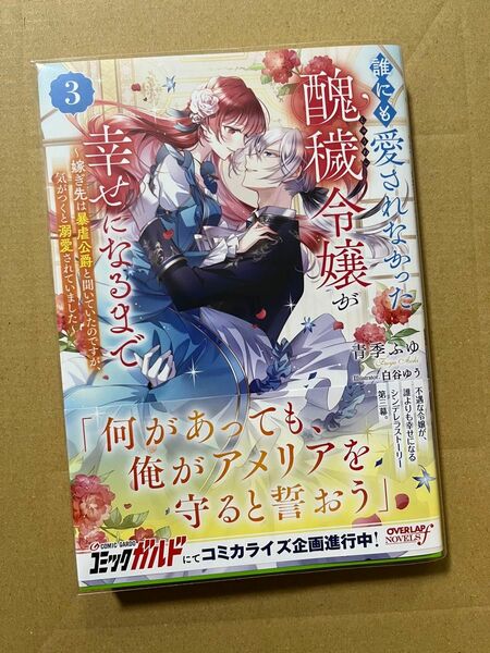 誰にも愛されなかった醜穢令嬢が幸せになるまで　嫁ぎ先は暴虐公爵と聞いていたのですが、気がつくと溺愛されていました　３ 