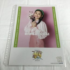 B19830 ◆櫻井梨央 モーニング娘 A4サイズ ピンナップポスター