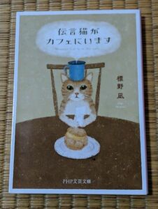 伝言猫がカフェにいます