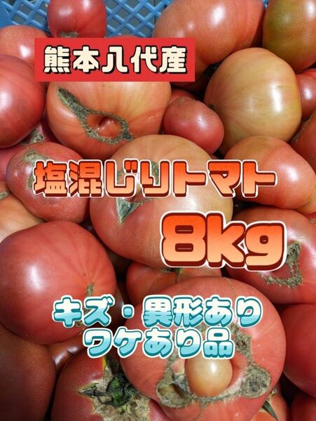熊本八代トマト８kg