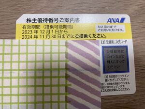 ANA優待券　通知のみ 全日空ＡＮＡ株主優待券１枚：有効期限２０２４年１１月３０日迄