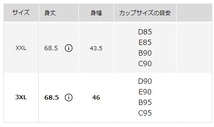 即決 未使用 大きいサイズ XXL◆Mame Kurogouchi エアリズムプランジブラキャミソール 高見え◆マメクロゴウチ ブラキャミ_画像10