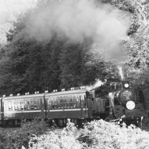 (B23)929 写真 古写真 鉄道 鉄道写真 真岡鉄道 真岡鐵道 蒸気機関車 C1266 C11325 ゆとり号 フィルム ネガ まとめて 25コマ SLの画像10