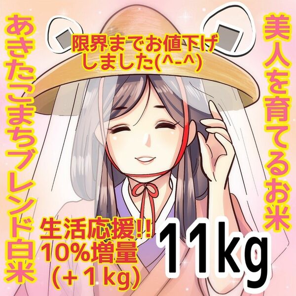 ★生活応援１０％(１kg)増量★令和５年産秋田県産あきたこまち５０％使用 ｢あきたこまちブレンド白米｣合計（１１kg）送料込み★