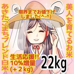 ★生活応援１０％(２kg)増量★令和５年産秋田県産あきたこまち５０％使用 ｢あきたこまちブレンド白米｣合計（２２kg）送料込み★