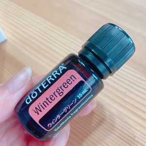 新品未使用【ドテラ】ウィンターグリーン　15ml doTERRA アロマオイル　2024年2月公式サイト購入品