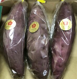 加賀野菜　五郎島金時芋3本セット　Lサイズ秀品