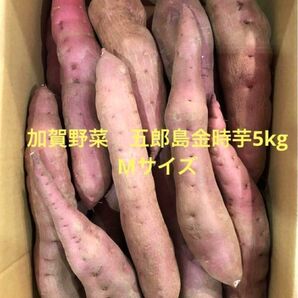 加賀野菜　五郎島金時芋5kg箱　Mサイズ