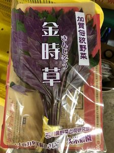 加賀野菜　金時草1袋　ネコポス対応