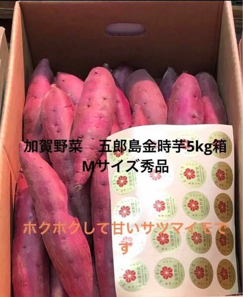 （最終出荷価格）加賀野菜　五郎島金時芋5kg箱　Mサイズ秀品