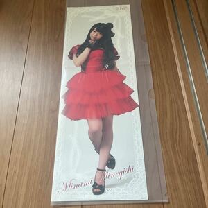 【希少、レア】AKB48 キャラポスコレクション ポスター 182mm×515mm 峯岸 みなみ
