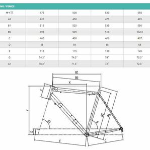 Bianchi Fenice Pro 2016 フレームセット ビアンキ フェニーチェ プロ スカンジウム Size:50 ジャンクの画像5