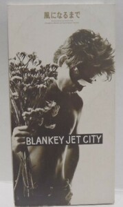 8ｃｍ シングル CD　ブランキー・ジェット・シティ　風になるまで　BLANKEY JET CITY　TODT-3301