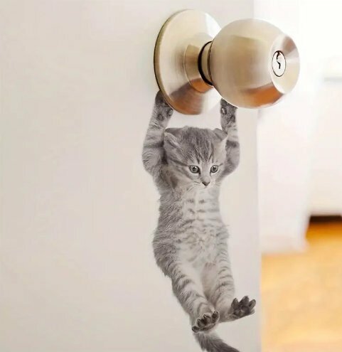猫　ネッコ　可愛い　シール　ステッカー　ルームポーチ　ホームデコレーション　壁ステッカー　壁の装飾デカール