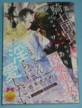 2月刊）ティアラ文庫『美しき騎士団長はワケあり召喚聖女をとことん淫らに愛したい』佐木ささめ_画像1