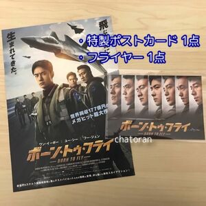 映画 ボーン・トゥ・フライ ムビチケ前売り特典 特製ポストカード&フライヤー ムビチケ無し 新品 未使用 ワン・イーボー