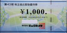 株式会社 ビックカメラ　株主お買物優待券 6,000 円分（1,000 円券× 6 枚） 2024/05/31迄_画像2