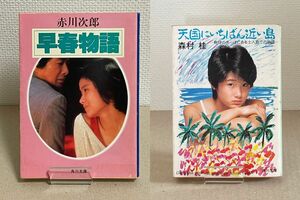 文庫本　まとめ売り　原田知世主演映画の原作本