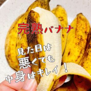 キングオブバナナ！！バナナの王様！沖縄産ナムワバナナ農薬不使用ちょこっとお試しに！絶対買い！！