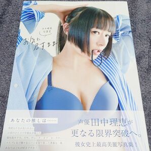 田中理恵 写真集「 お気に召すまま」初版帯付き