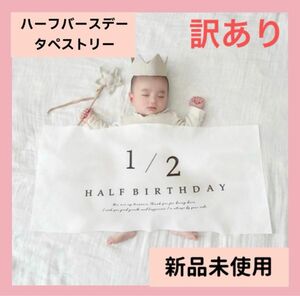 【訳あり】ハーフバースデー タペストリー おうちフォト 誕生日