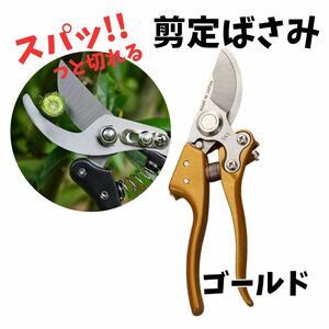 剪定ばさみ 【訳あり】 ゴールド 園芸用品 枝切りばさみ 鋏 ガーデニング 剪定鋏 盆栽 庭 バサミ 切れ味が良い 安全ロック