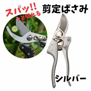 剪定ばさみ 【訳あり】 シルバー 枝切りばさみ 鋏 ガーデニング 園芸用品 剪定鋏 盆栽 庭 バサミ 切れ味が良い 安全ロック