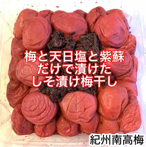 紀州南高梅 訳あり 大粒 梅と天日塩と紫蘇だけで漬けたしそ漬け梅 1kg しそ漬け 梅干し　塩分15%