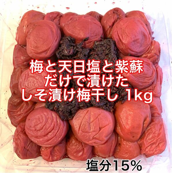 紀州南高梅 訳あり 大粒 梅と天日塩と紫蘇だけで漬けたしそ漬け梅 1kg しそ漬け 梅干し　塩分15%