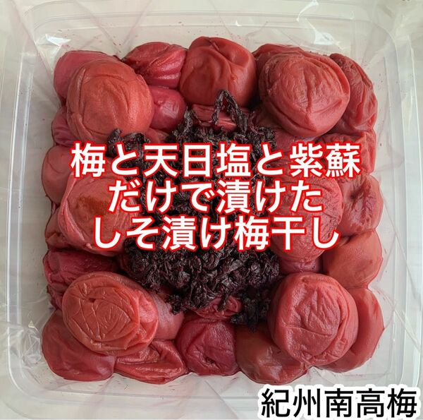 紀州南高梅 訳あり 大粒 梅と天日塩と紫蘇だけで漬けたしそ漬け梅 1kg しそ漬け 梅干し　塩分15%