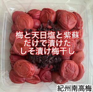 紀州南高梅 訳あり 大粒 梅と天日塩と紫蘇だけで漬けたしそ漬け梅 1kg しそ漬け 梅干し　塩分15%