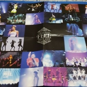 安室奈美恵 FEEL TOUR 2013 AVBN-99006 DVDの画像4