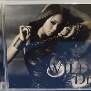 安室奈美恵 WILD CD4曲 DVD2曲 初回限定盤の画像1