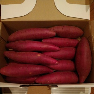 30 Chiba prefecture production . - .. sweet potato sweet potato approximately 1.2.