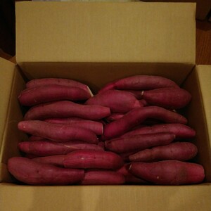 33 Сложный Префектура Тиба Бенихарука Сладкий картофель Сладкий картофель S Размер около 5,2 кг