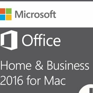 Microsoft Office 2016 Home and Business for Mac 1pc（アカウント紐づけ関連OK 利用無期限） PDF手順書あり 認証保証 サポの画像1
