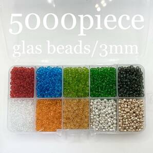 WSE【 シードビーズ クリア アソート セット 5000piece 3mm 】透明 まとめ 素材 材料 レッド ハンドメイド パーツ アクセサリー 大量 箱付