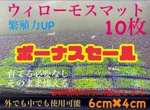 ウィローモスマット　10枚セット　業者様もご愛用　すぐ使えます。　24時間以内に配送します。_画像1