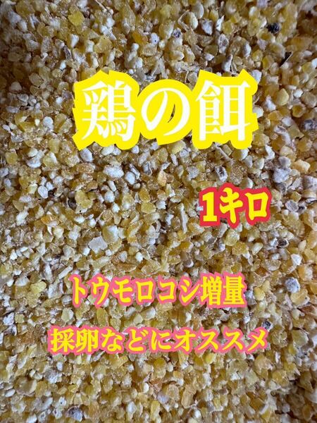 鶏の餌　ニワトリのエサ　1kg トウモロコシ増量　粉砕トウモロコシ　採卵などに