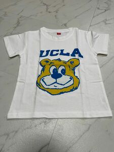 UCLA 半袖 