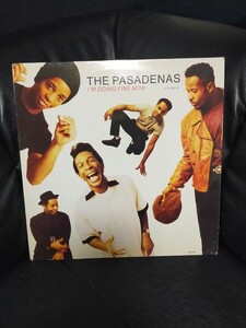 THE PASADENAS - I'M DOING FINE NOW【12inch】1991' UK盤