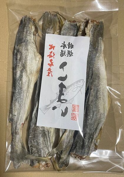 北海道産　干しこまい　200g×5 こまい　かんかい　寒海　氷下魚　根室産　