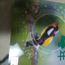 令和6年度版　小学校理科　３年から６年　学校図書_画像6