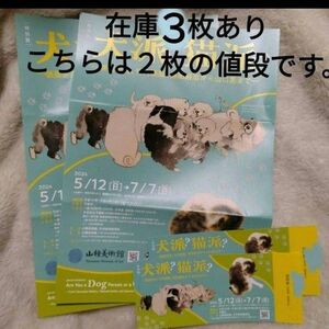 犬派？猫派？　俵屋宗達、竹内栖鳳、藤田嗣治から山口晃まで―　チケット２枚