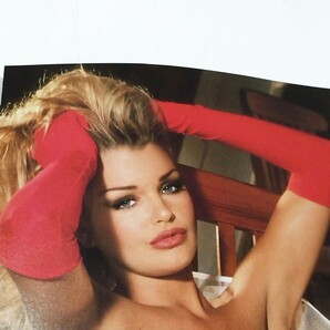 e プレイボーイ PLAYBOY  1995年12月号 雑誌  女性 海外 洋書 グラビア セクシー 女優 ブロンド 金髪 成人の画像9