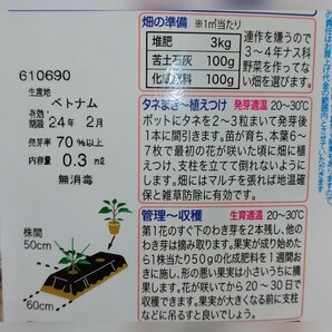 【６粒】とろとろステーキなす １果500g以上の大型品種♪ トロトロ絶品の味わいをお楽しみください♪ 送料73円〜の画像5