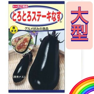 ◆セール◆【６粒】とろとろステーキなす　１果500g以上の大型品種♪　トロトロ絶品の味わいをお楽しみください♪　送料73円〜