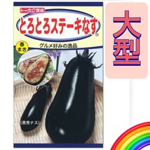 ◆セール◆【６粒】とろとろステーキなす　１果500g以上の大型品種♪　トロトロ絶品の味わいをお楽しみください♪　送料73円〜_画像1