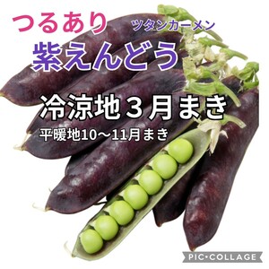 ◆セール◆【6粒】紫えんどう『ツタンカーメン』御赤飯に人気♪　カロチン・ビタミンB豊富♪　送料73円〜