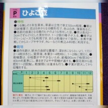 ◆セール◆【40粒】ひよこ豆　ホクホク食感♪　プランター栽培可　送料73円〜　_画像5